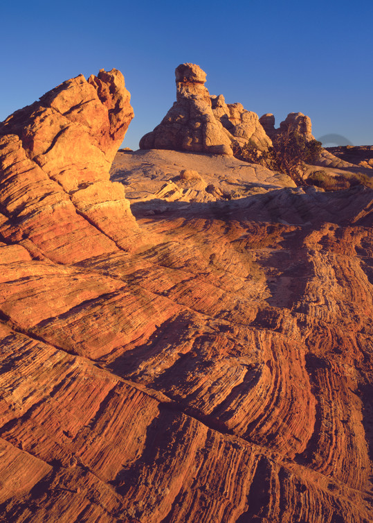  Navajo Sandstone in the Paria Wilderness, Arizona