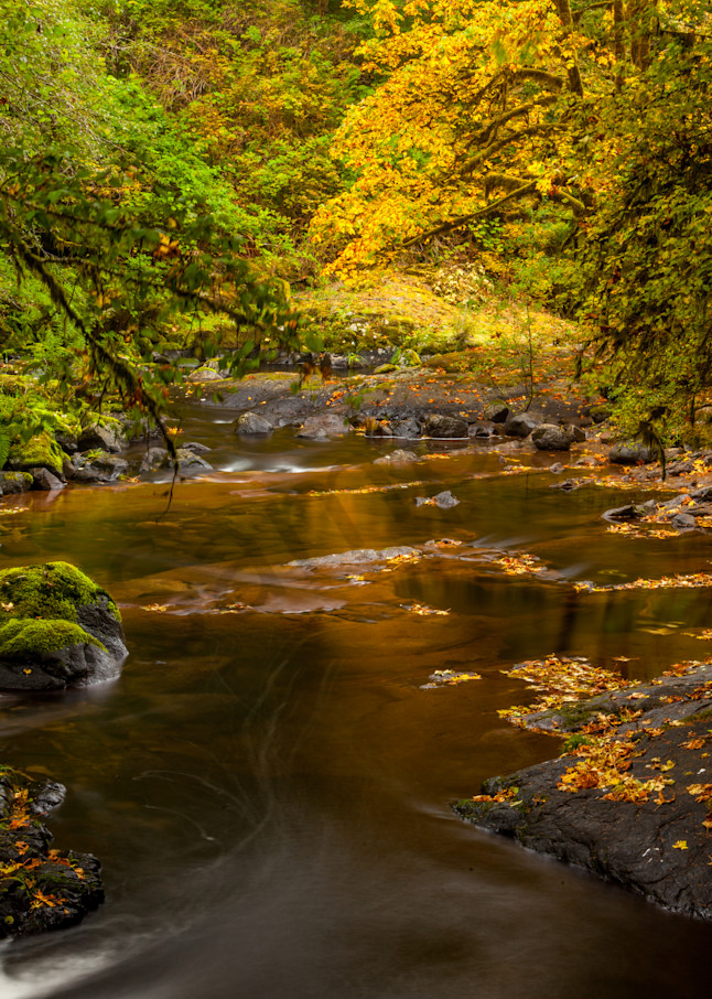 Sweet Creek: Fine Art Photography - by Curt Peters