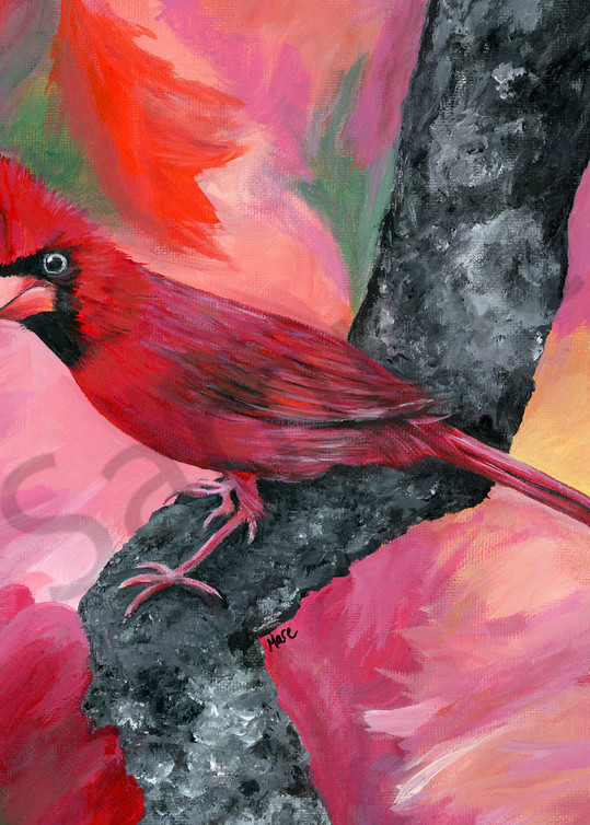 Fine art acrylic painting on canvas by Mary Anne Hjelmfelt of male red cardinal