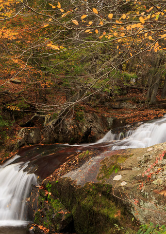 Waterfall Wall Art: Statons Creek Falls