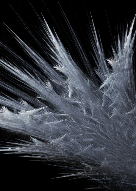 Frozen Burst frost digital art by Cheri Freund