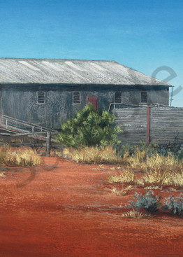 Pera Bore Woolshed by Jenny Greentree