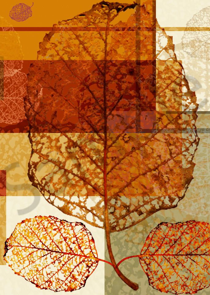Contempo Leaves digital art by Cheri Freund