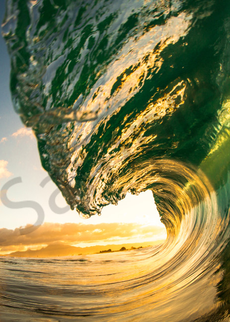 Wave Photography | North Shore Curl by Jaysen Patao