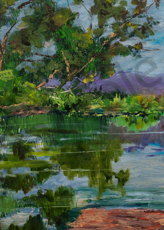 TULARIVA--Marsh Park