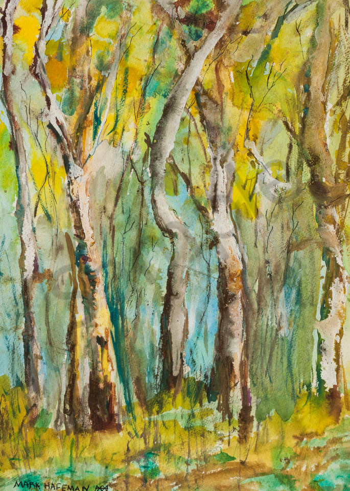 Into The Woods Art | markhafeman