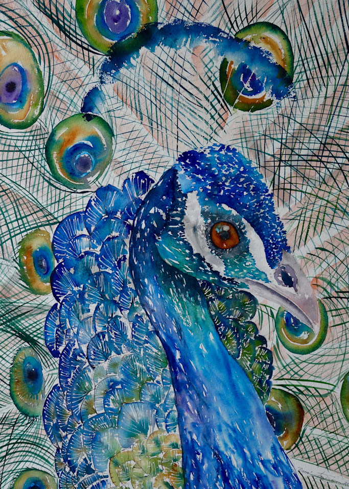 Pierre the Peacock