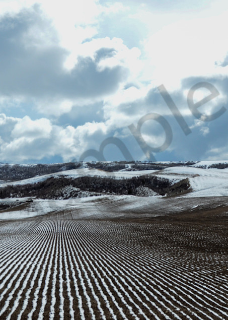 Snowy Tilled Field Photography Art | Barb Gonzalez Photography