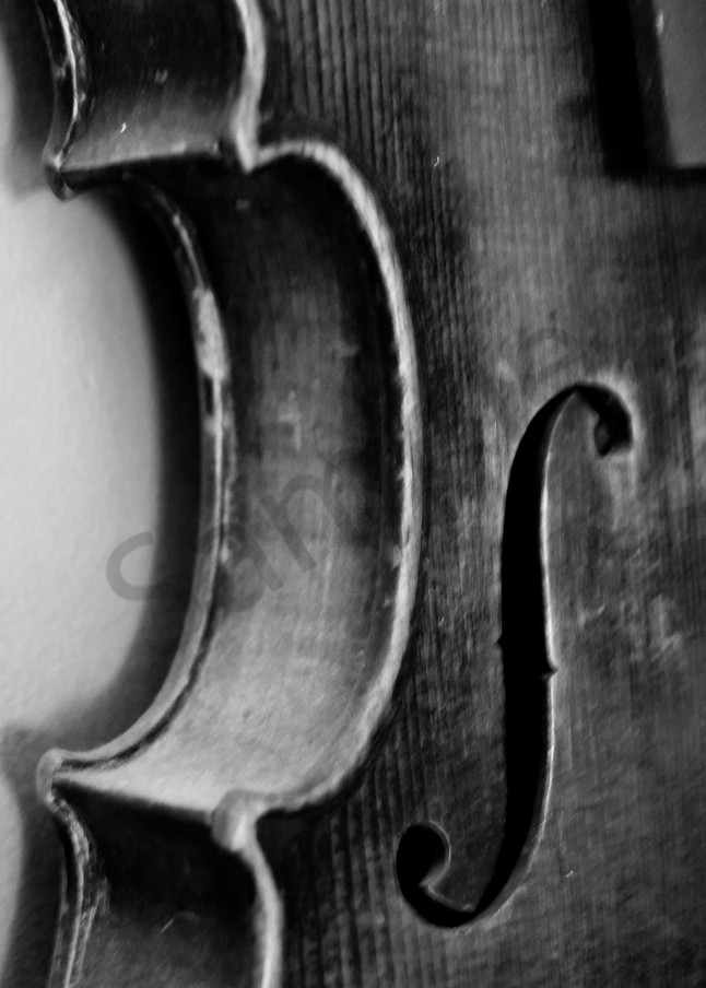 Black & white abstract and macro photograph of a violin body, for sale as fine art by Sage & Balm