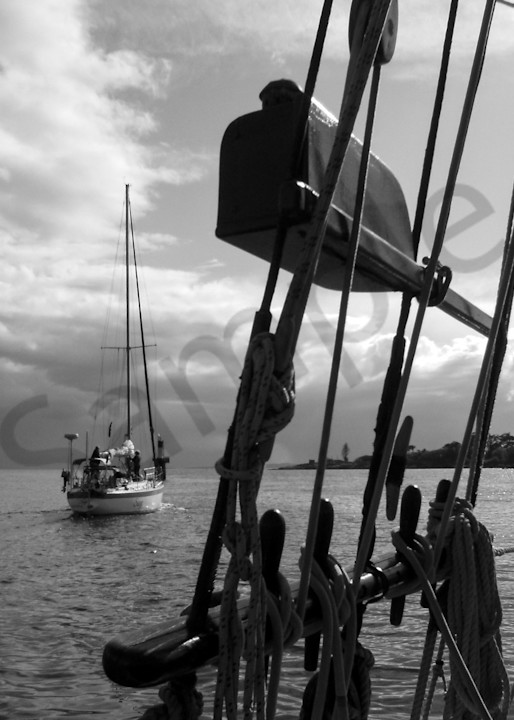 Sailing On Victoria Harbour Photography Art | Sage & Balm Photography