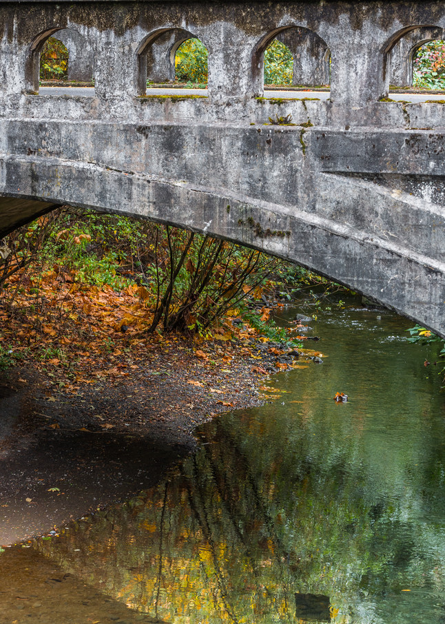 Autumn bridge photo for sale | Barb Gonzalez Photography