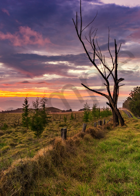 Big Island Photography | Old Saddle Road by Peter Tang