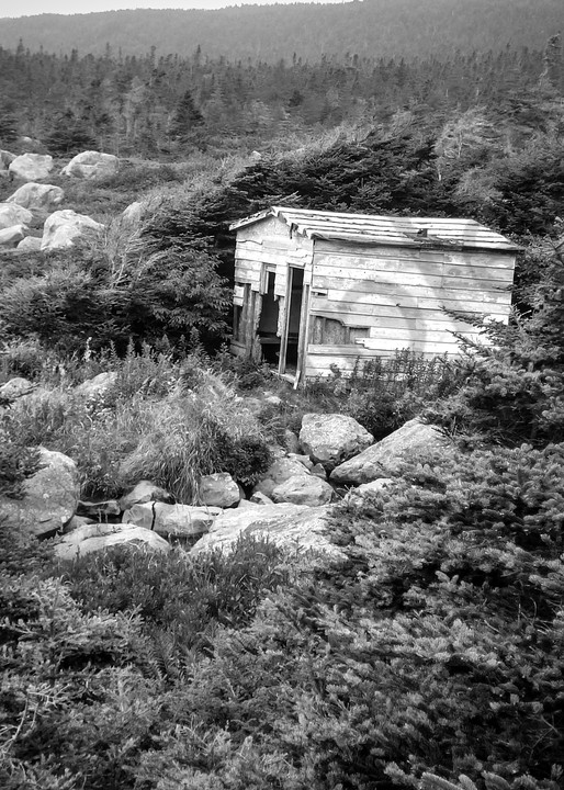 Black & white photograph of an abandoned fisherman's shack off the coast of Cape Spear, Newfoundland, for sale as fine art by Sage & Balm