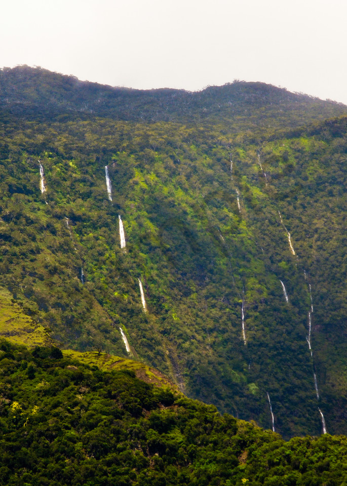 Maui Waterfall 1