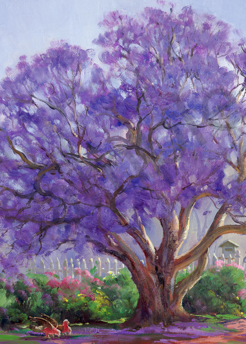 The Jacaranda