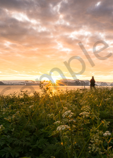 Iceland Travel Photography | Fields of Gold by Matt Kwock