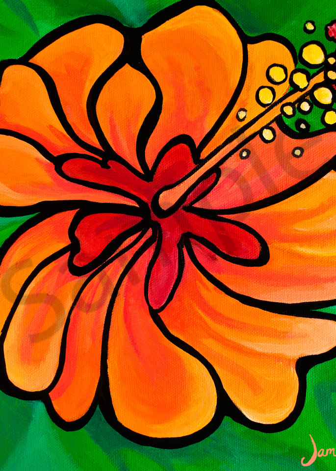 Creamsicle Hibiscus Art | Swim Whimsey