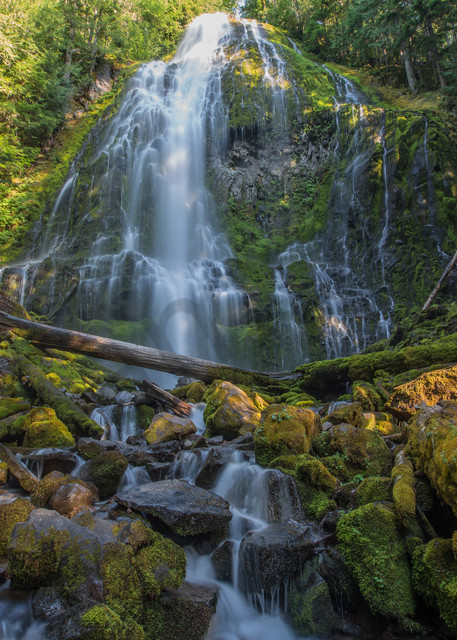Stunning Proxy Falls Waterfall Photo for Sale: Barb Gonzalez Photography