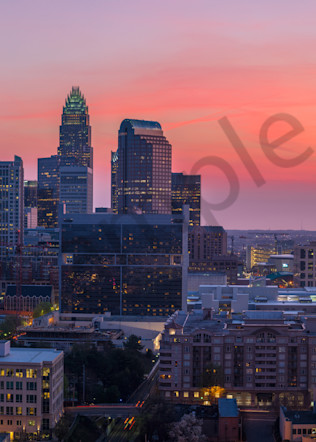 Charlotte Skyline in the Spring Photograph for Sale as Fine Art