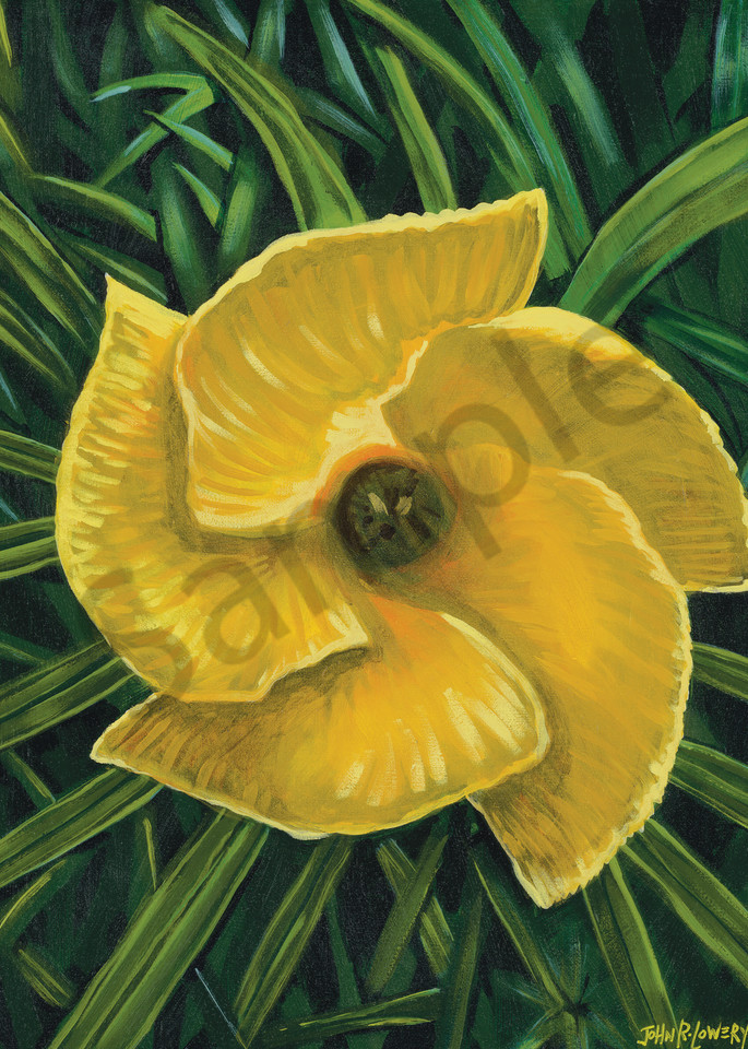 Big Yellow Flower Art | Humble Donkey Studio