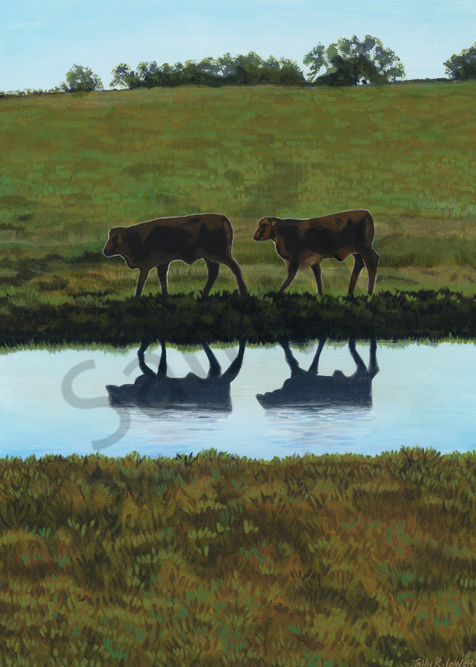 Painting of cow images reflected in a Texas pond, for sale as art prints.