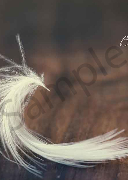 Fine art photo of a white feather with "breathe" typography