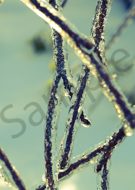 Shop ice and winterscape fine art photographs | Sage & Balm Photography