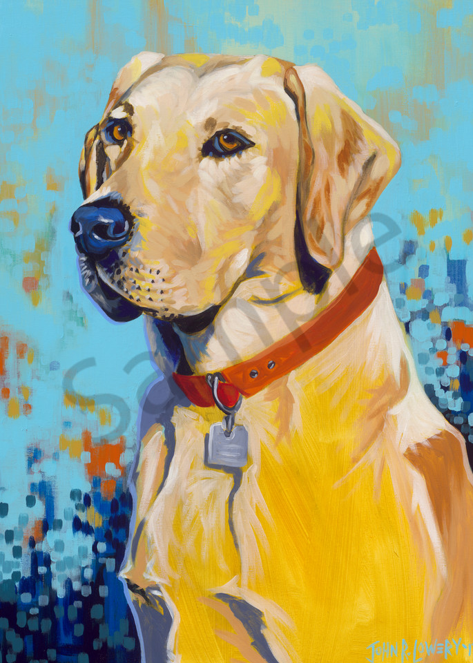 Colorful, modern original painting of a labrador retriever dog, for sale as art prints.