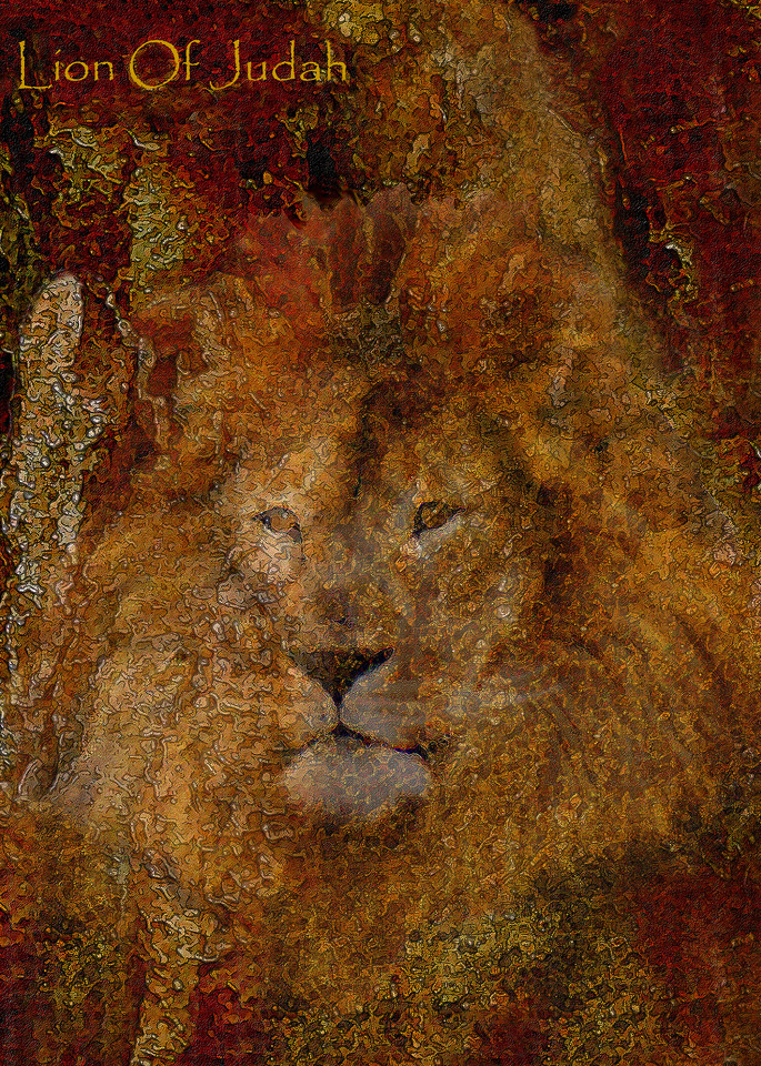 "Lion Of Judah" by Constance Woods | Prophetics Gallery