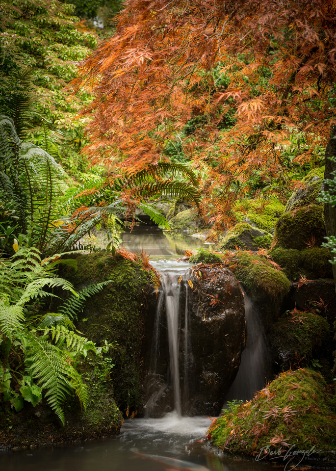 Japanese Garden Creek   Autumn Photography Art | Barb Gonzalez Photography