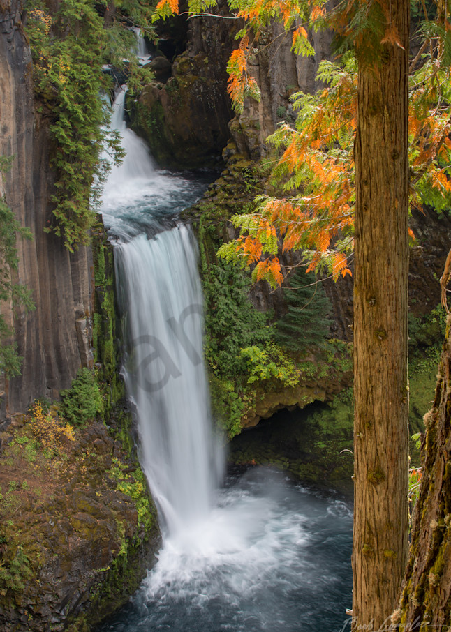 Autumn trees and Tokatee Falls photo for sale by Barb Gonzalez Photography.