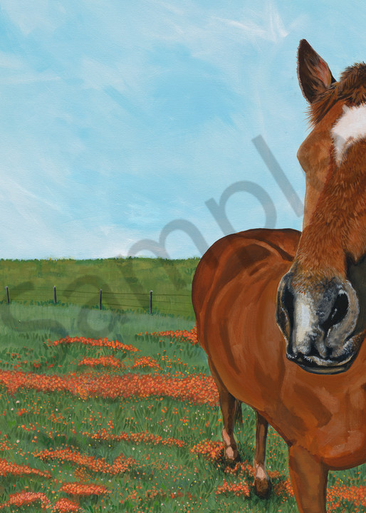 Horse paintings by Texas based artist, John R. Lowery for sale as art prints