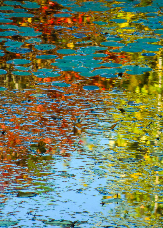 Colored Reflections