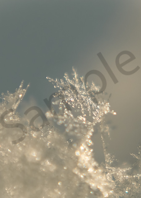 Snowflake Photography Art | Sage & Balm Photography