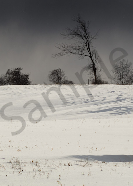 Winter Storm Approaching Photography Art | Sage & Balm Photography