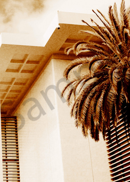 Cali Palms Art | ARTHOUSEarts