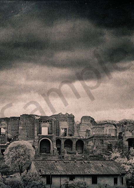Circus Maximus Rome 6199 Photography Art | Bridget Karam Photography