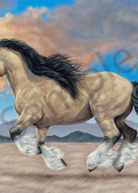 Camera Setup: "BetterLight 6150 | IR 2mm | HID Buhl", Artwork Image: "Stockdell, galloping horse, scan.tif", Artwork Colors: "Stockdell, Color Profile_M0.txt", White Image: "Stockdell, galloping horse, white scan.tif", White Colors: "Foamcore White.