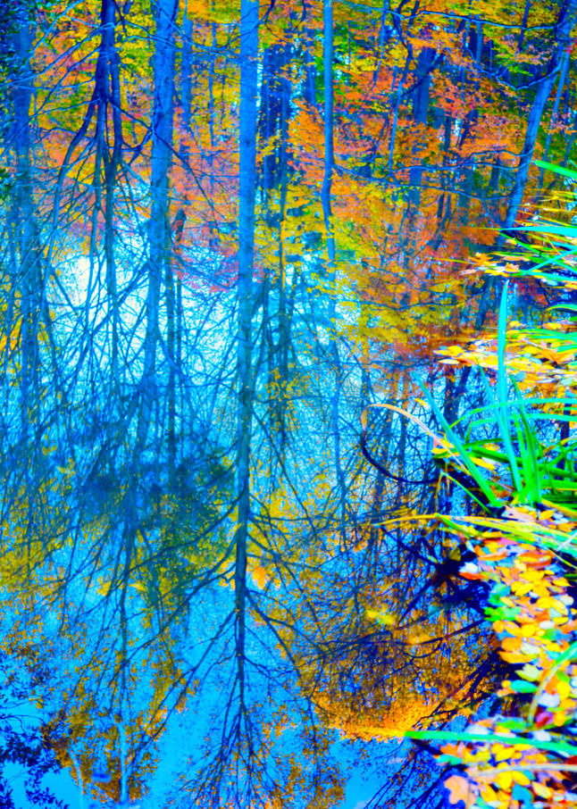 Fall Pond Reflection|Fine Art Photography by Todd Breitling|Trees and Leaves|Todd Breitling Art
