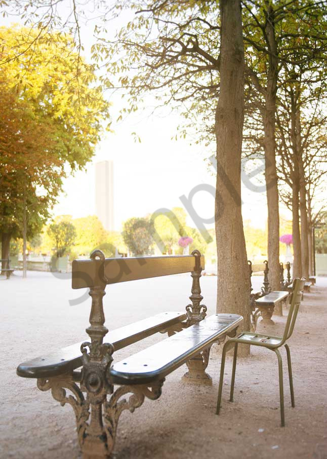 Bench In Jardin Du Luxembourg Art | AngsanaSeeds Photography