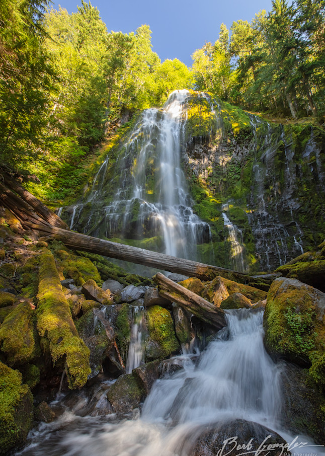 Proxy Falls and Stream Photo for sale Barb Gonzalez Photography