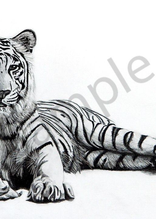 Abberation White Tiger Art | Lindamood Art