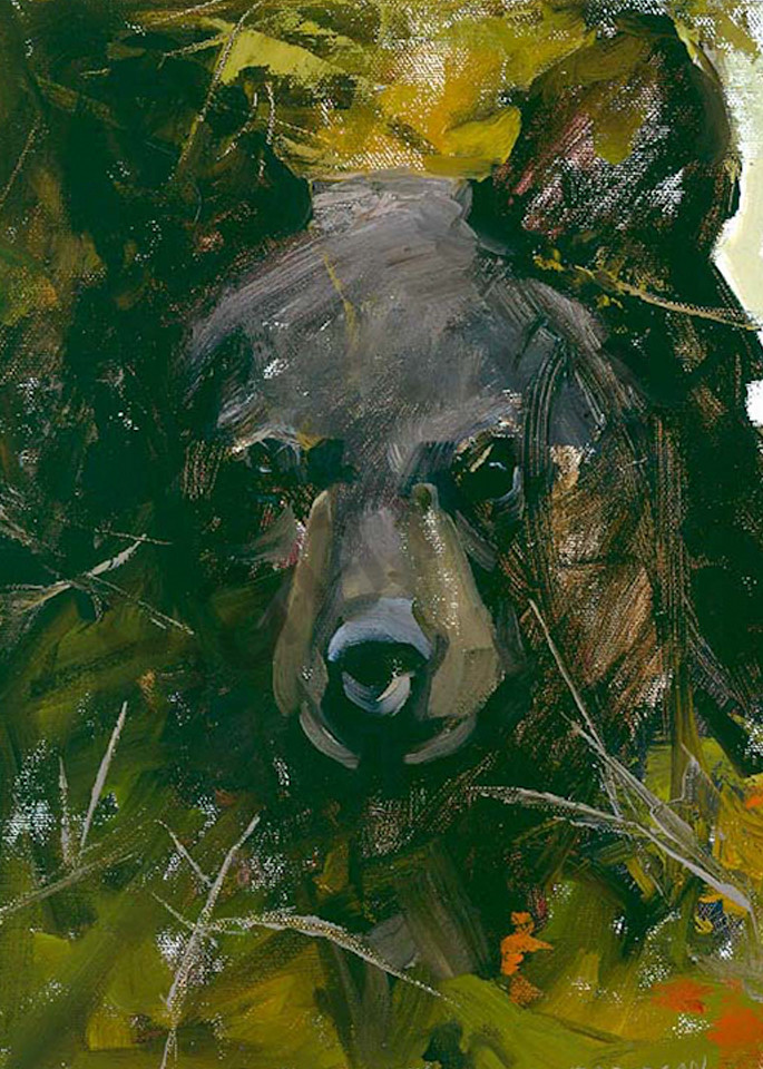 A Young Black Bear Art | Mary Roberson