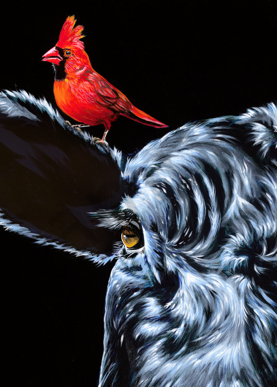 Original painting of a cardinal perched on the ear of a bull, available as art prints.
