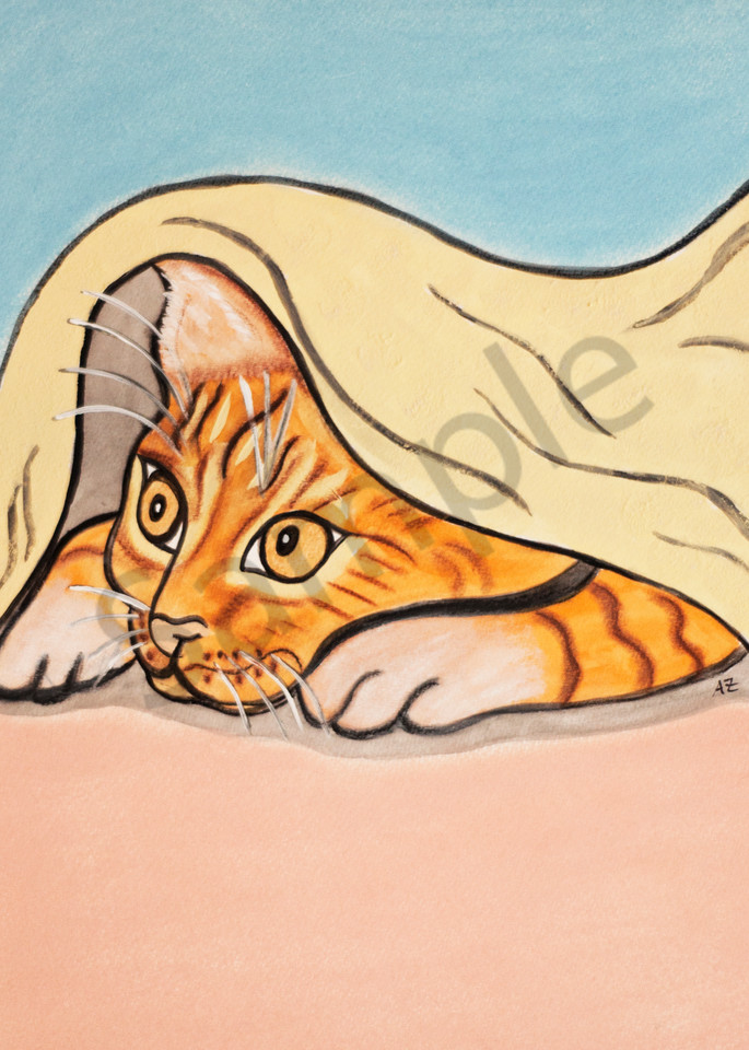 Cat With Blanket Art | arteparalavida