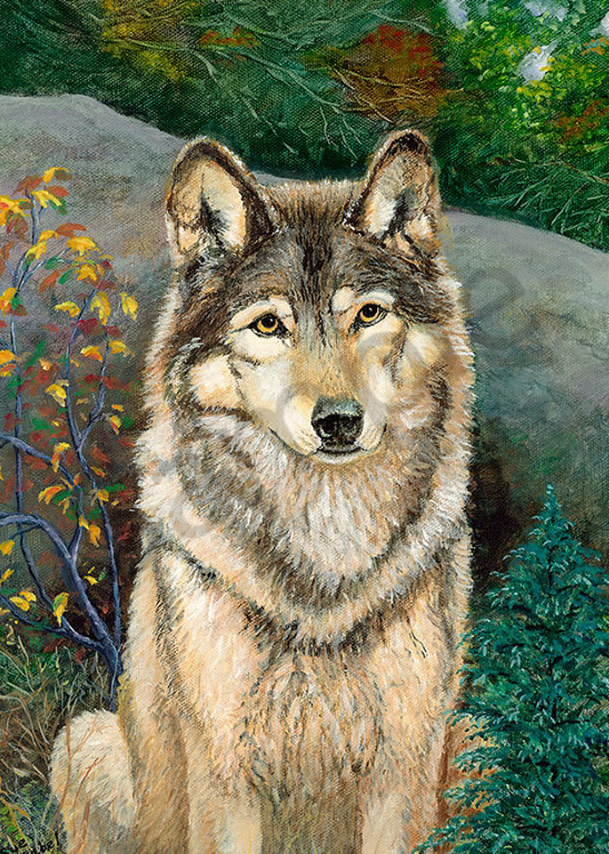 "Lone Wolf" fine art print by Sue Zabel. Artistic Memories.