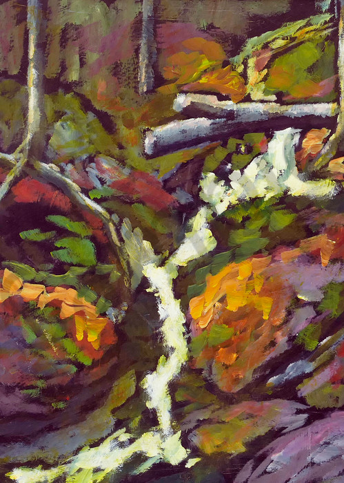 Bright Stream In Dark Woods Art | Keith Thirgood