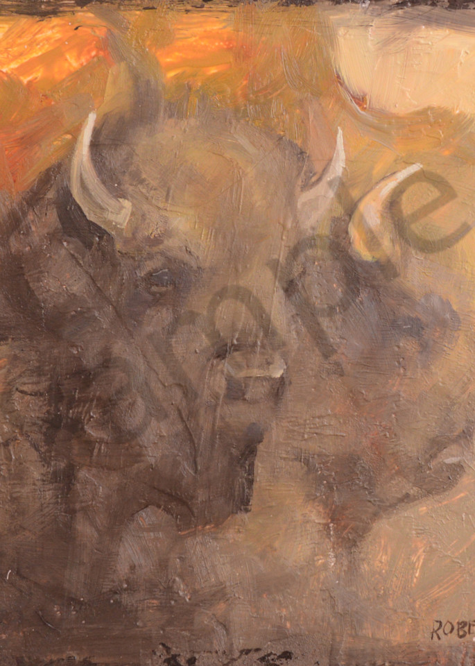 Bison0388 Art | Mary Roberson