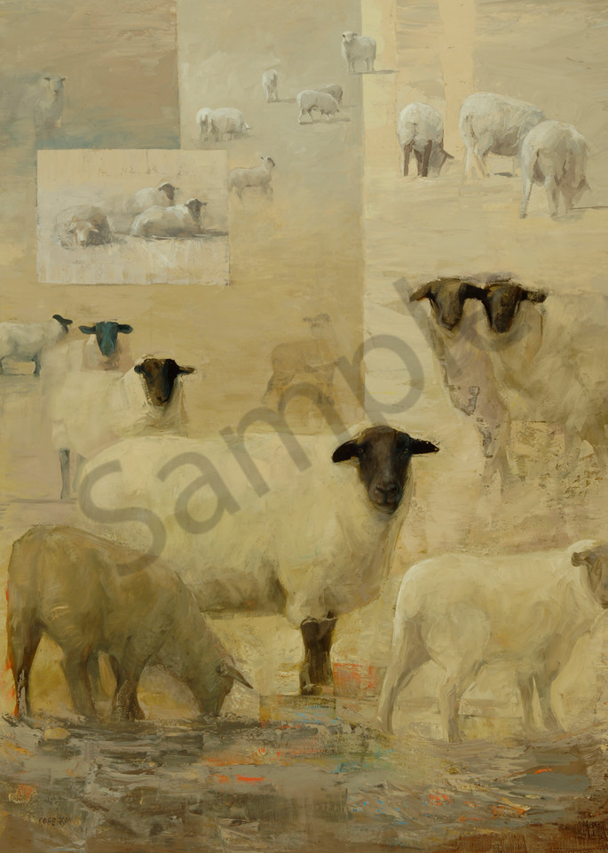 New Zealand Sheep Art | Mary Roberson