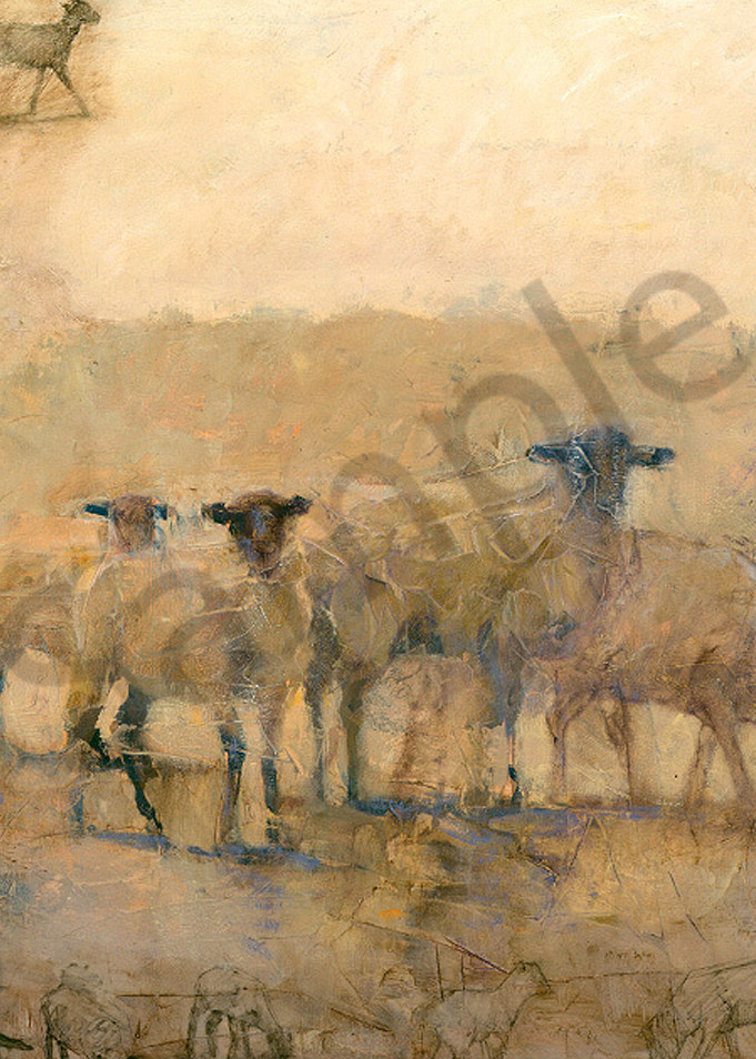 Suffolk Sheep Art | Mary Roberson